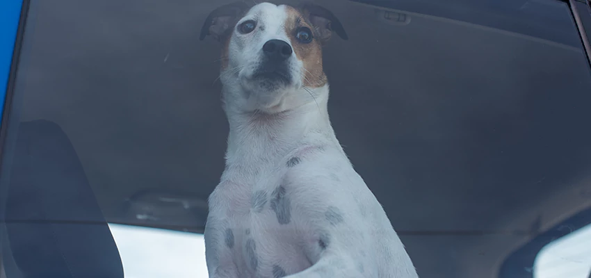 Car Lockout Solutions in North Tustin, California